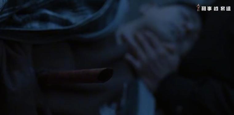 刑侦剧死亡真相曝光,刑侦剧大结局男主被枪打了