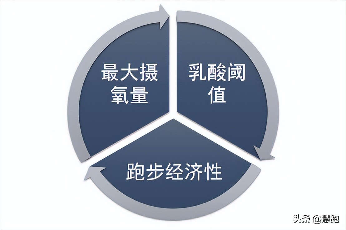 从小白到职业健身选手,从小白到健身一年的变化