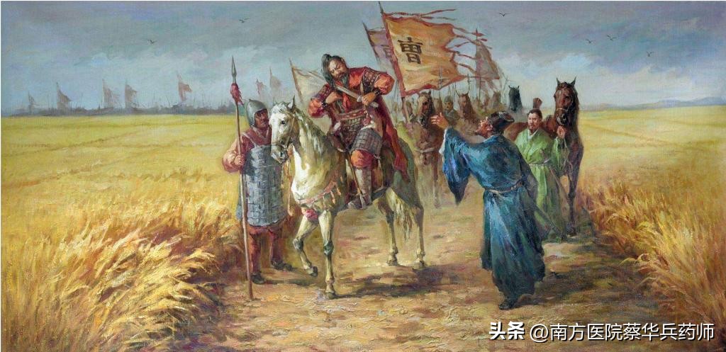 一味健胃消食的中药：上能回乳消胀，中能疏肝解郁，下能消食健胃