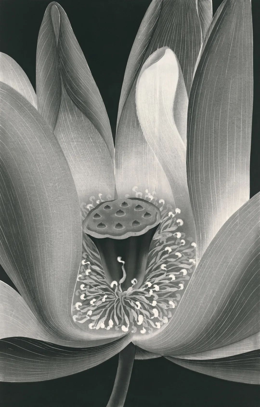 巨川,你好!|艺术栗子