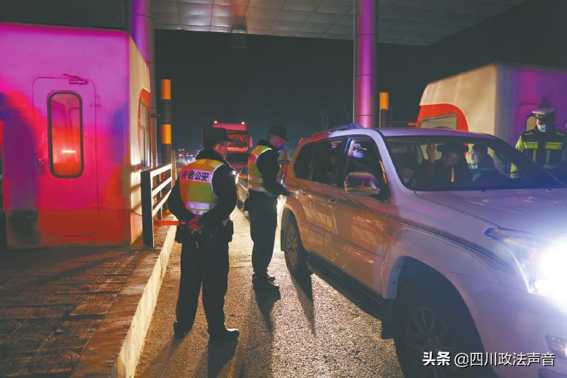 西藏雪山大追捕,雪域捕狼