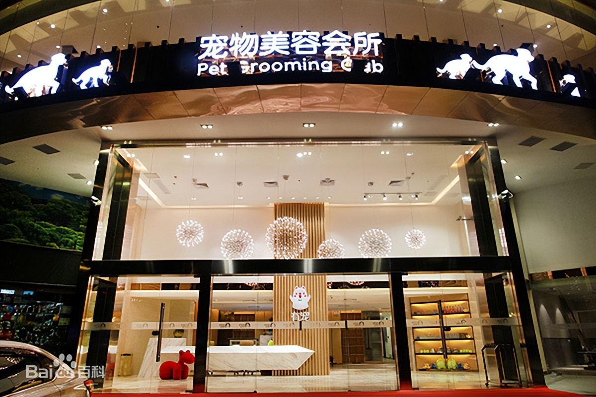 宠物基础服务包括什么服务,宠物服务包括哪些内容呢