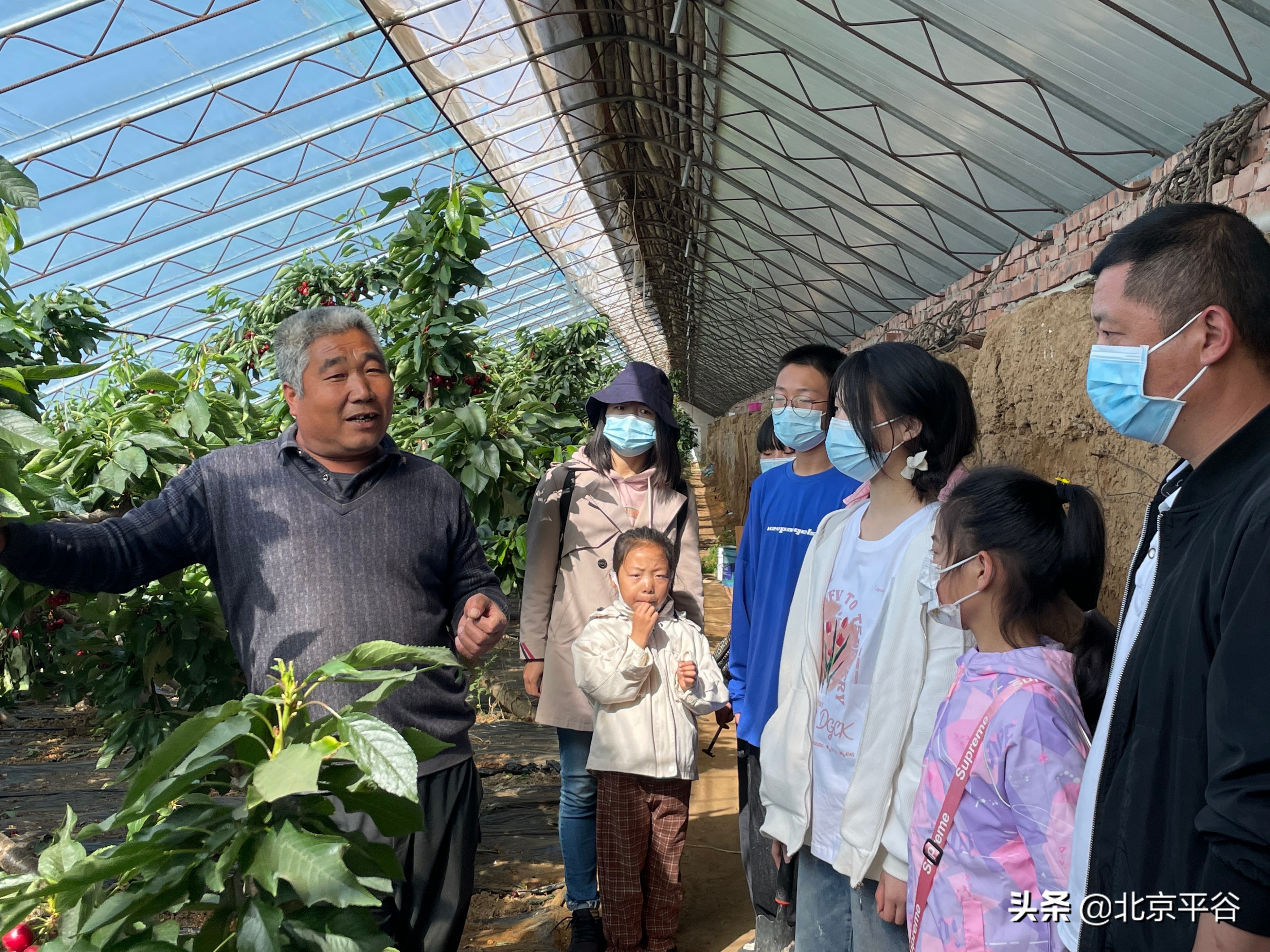 创建文明城市乐当文明使者,创建文明城市小手拉大手