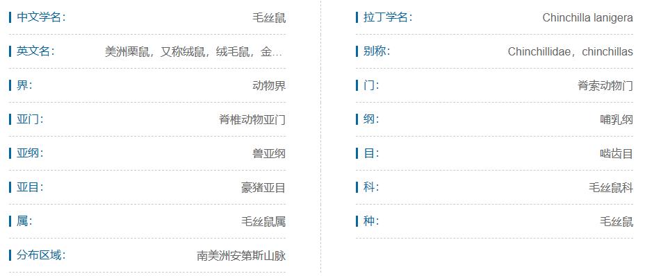 素食宠物食品,素食宠物零食有哪些品种