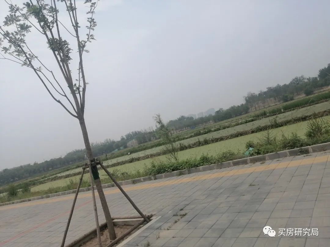 奶西村地块优劣势,奶西地块最新消息