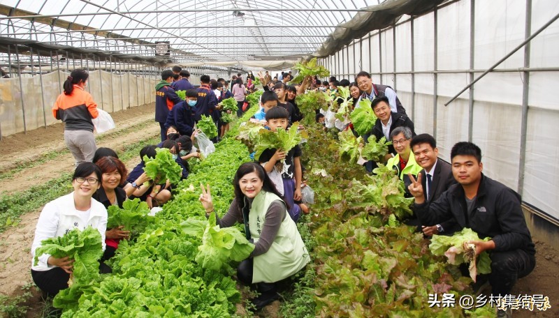 台湾小瓢虫农场,台湾小瓢虫