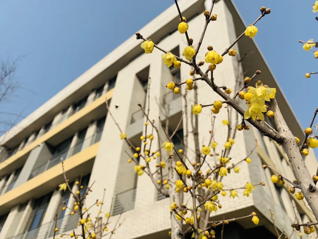 诗词里的校园,春日校园美景诗句