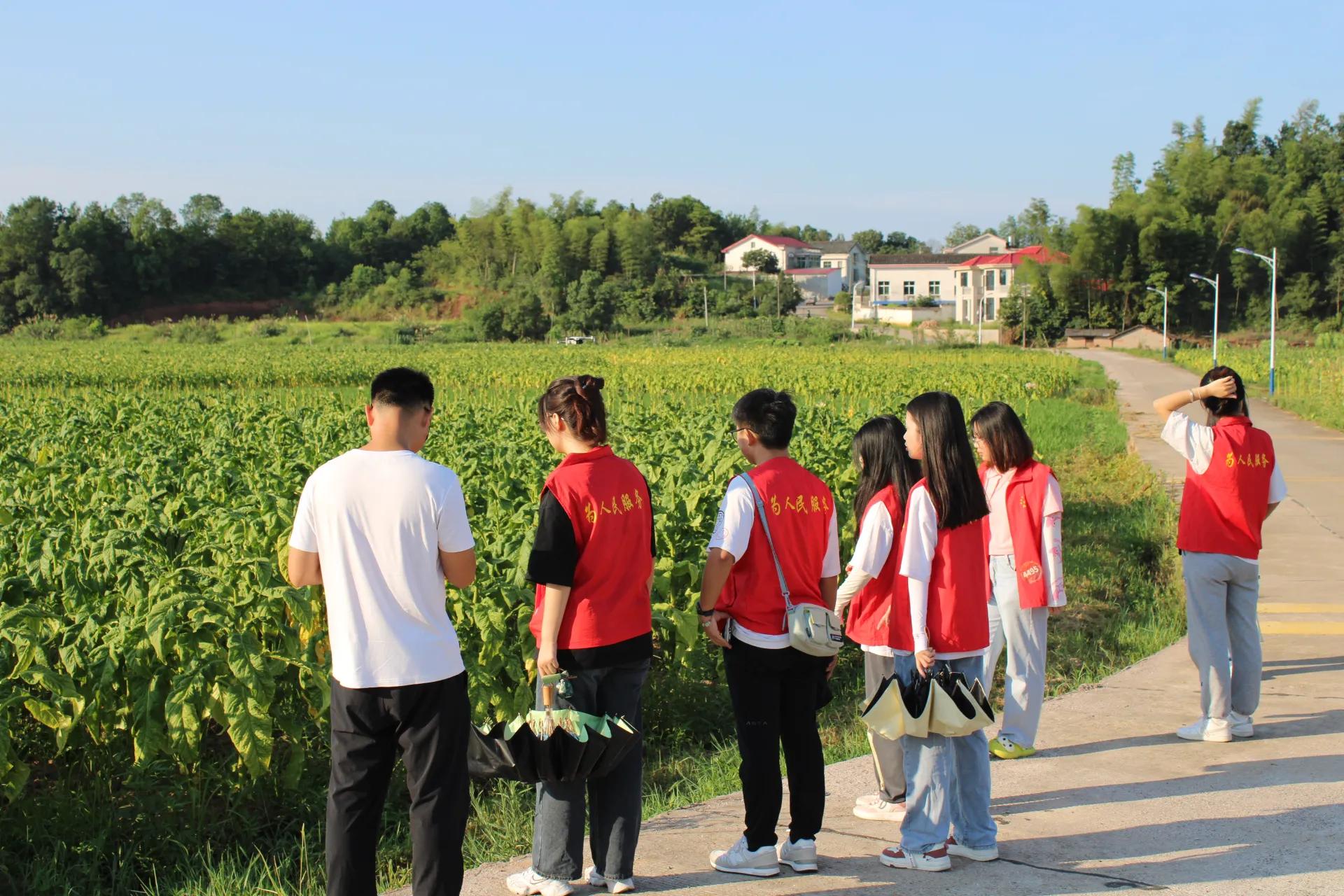 活水注入乡村振兴,乡村振兴的经验分享与最佳实践