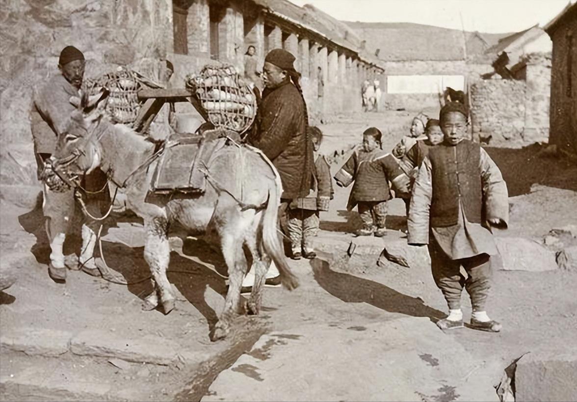 故宫应对疫情,故宫防疫政策