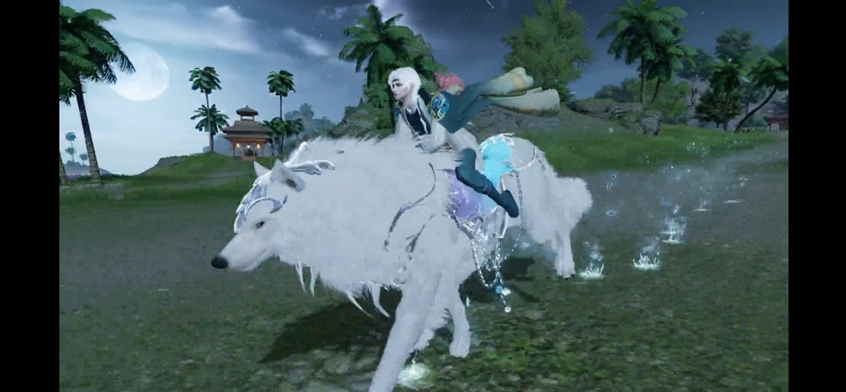 周卡专属个性化套装,周卡礼包