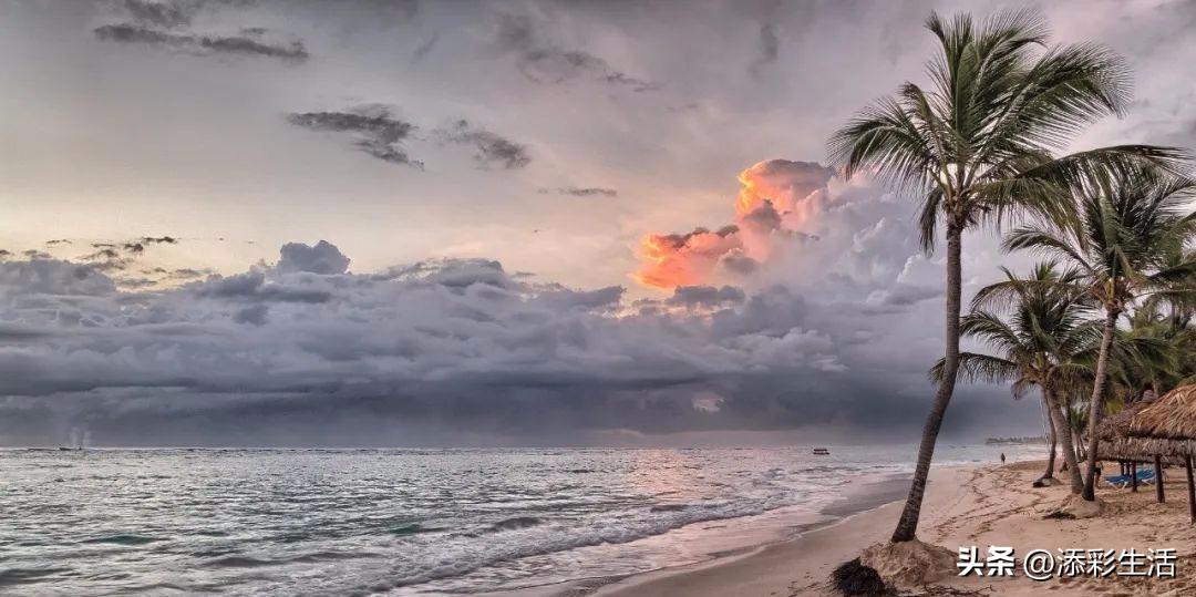 新高考作文素材书推荐,新高考议论文作文素材