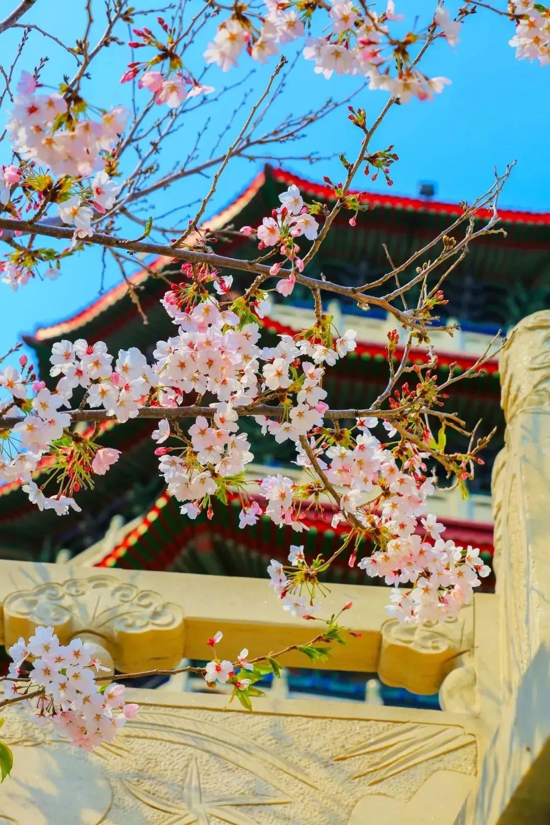 跟团去山东旅游,跟团去欧洲旅游游记