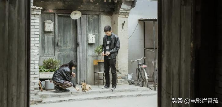 2023年最近最火的五部剧,2023年有哪些好剧值得期待