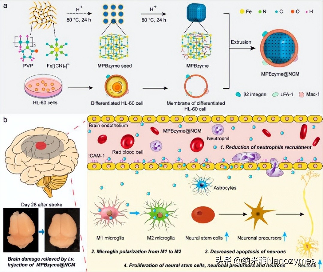 acsnano的影响因子,acsnano全是纳米类的吗