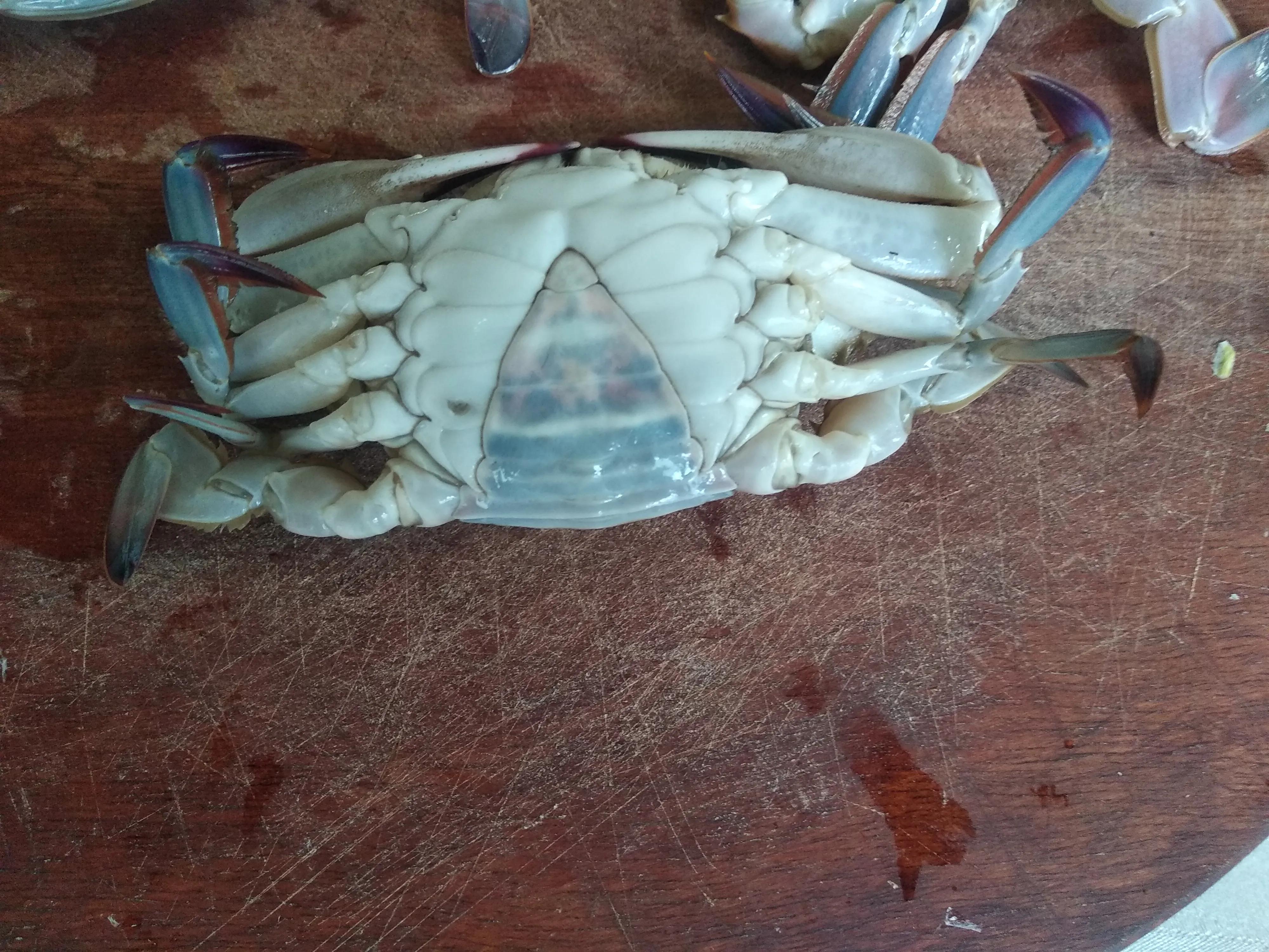 海鲜市场买回来的螃蟹死了能吃吗,活螃蟹什么地方不能吃