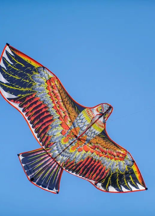 春天的天空是属于风筝的，快收藏济南这些放风筝的好地方！