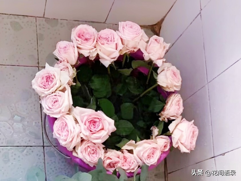 刘亦菲抱的鲜花是什么花呀,刘亦菲抱鲜花的照片为啥那么火