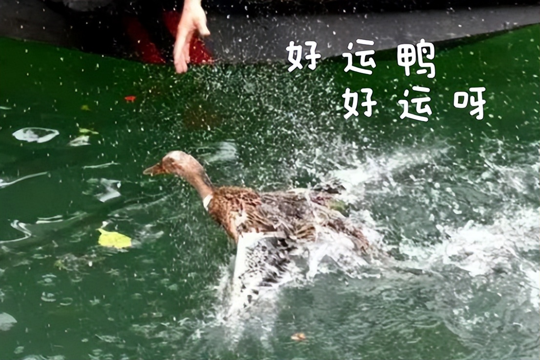 1天24小时是多少分钟,1天24个小时多少分钟多少秒