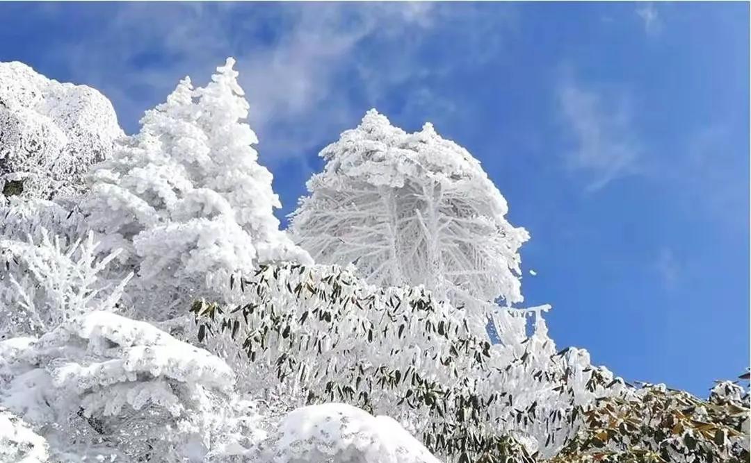 春节旅游最佳去处云南旅游攻略,春节云南旅游必去的景点推荐