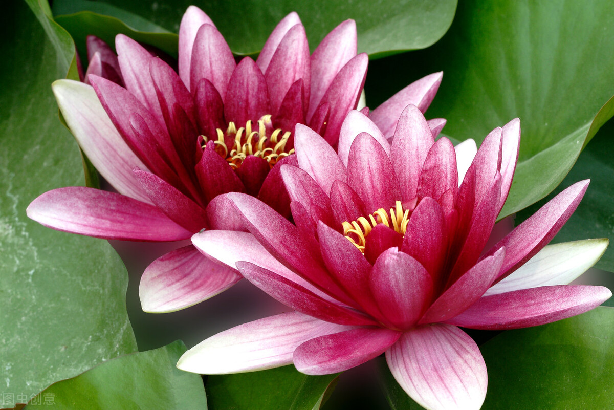 34岁男子相亲59次均失败,31岁男子相亲几十次均失败