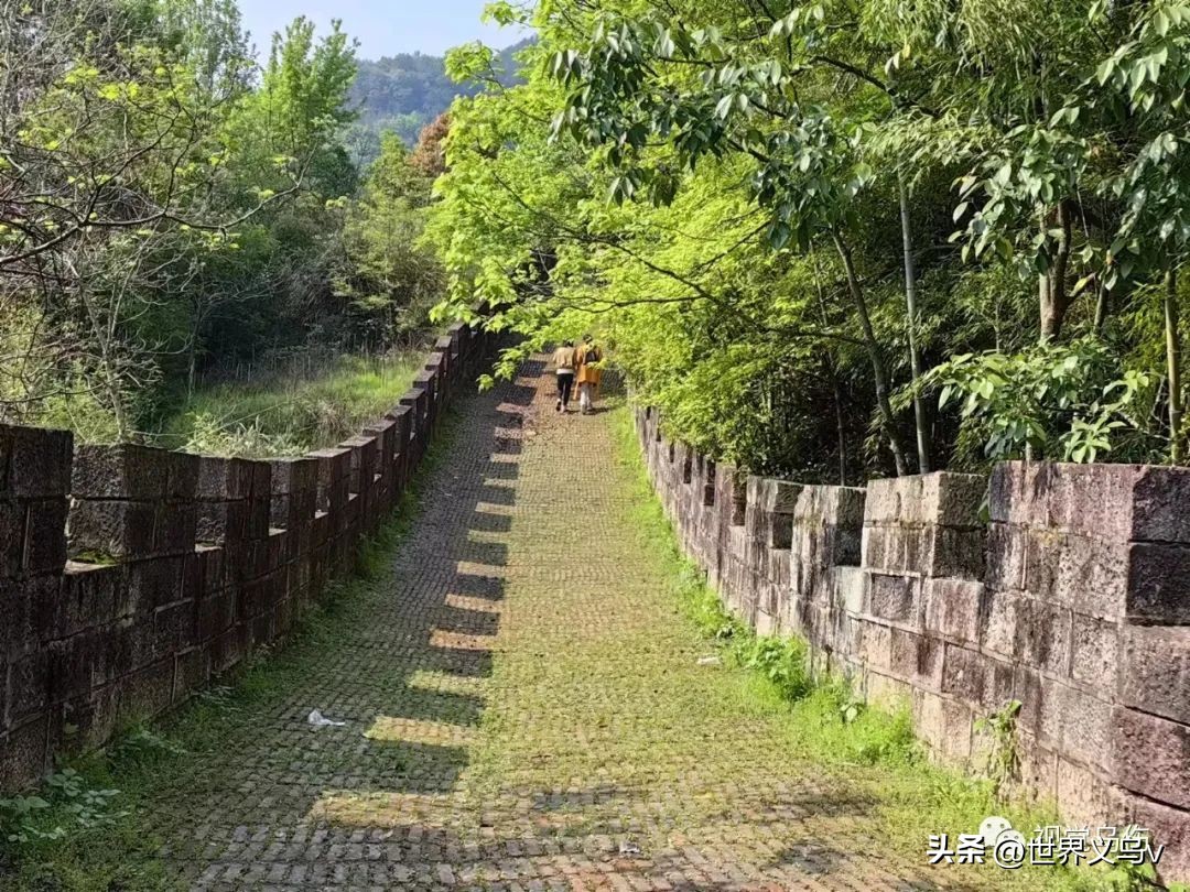 中华诗文丨乔亭采风：佩林散文／鲜为人知的“第一次抗日战争”