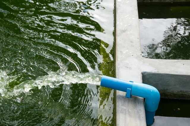 两味中药,祛风邪,除湿毒,专管皮肤瘙痒