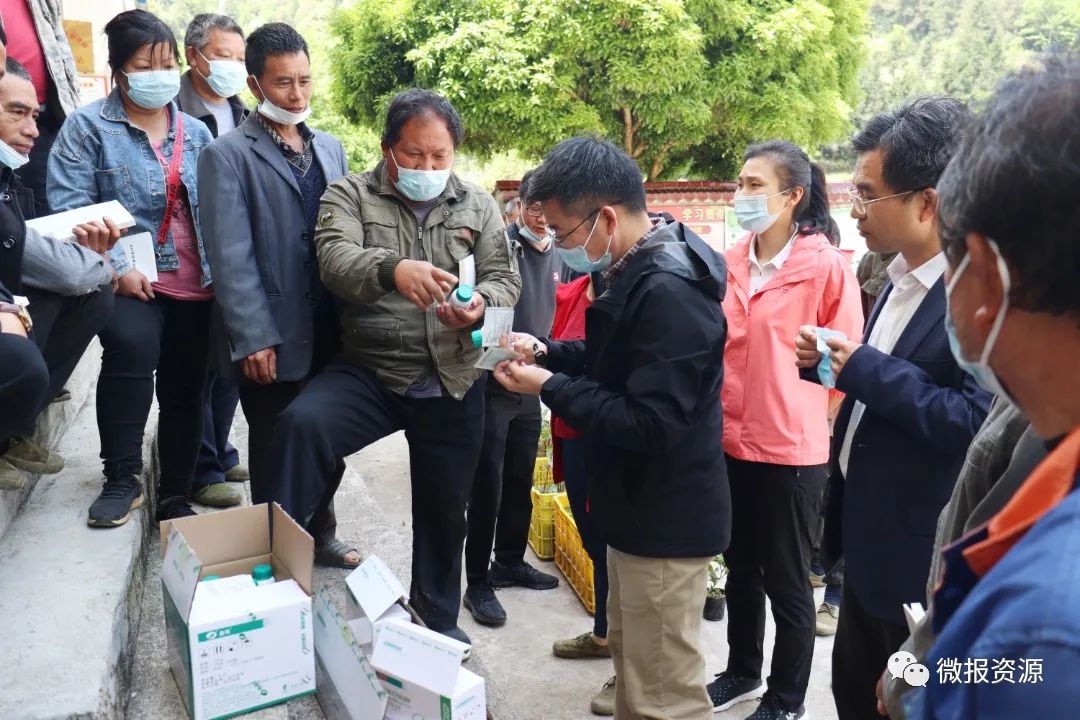 桂林向您汇报,桂林向您汇报临桂篇