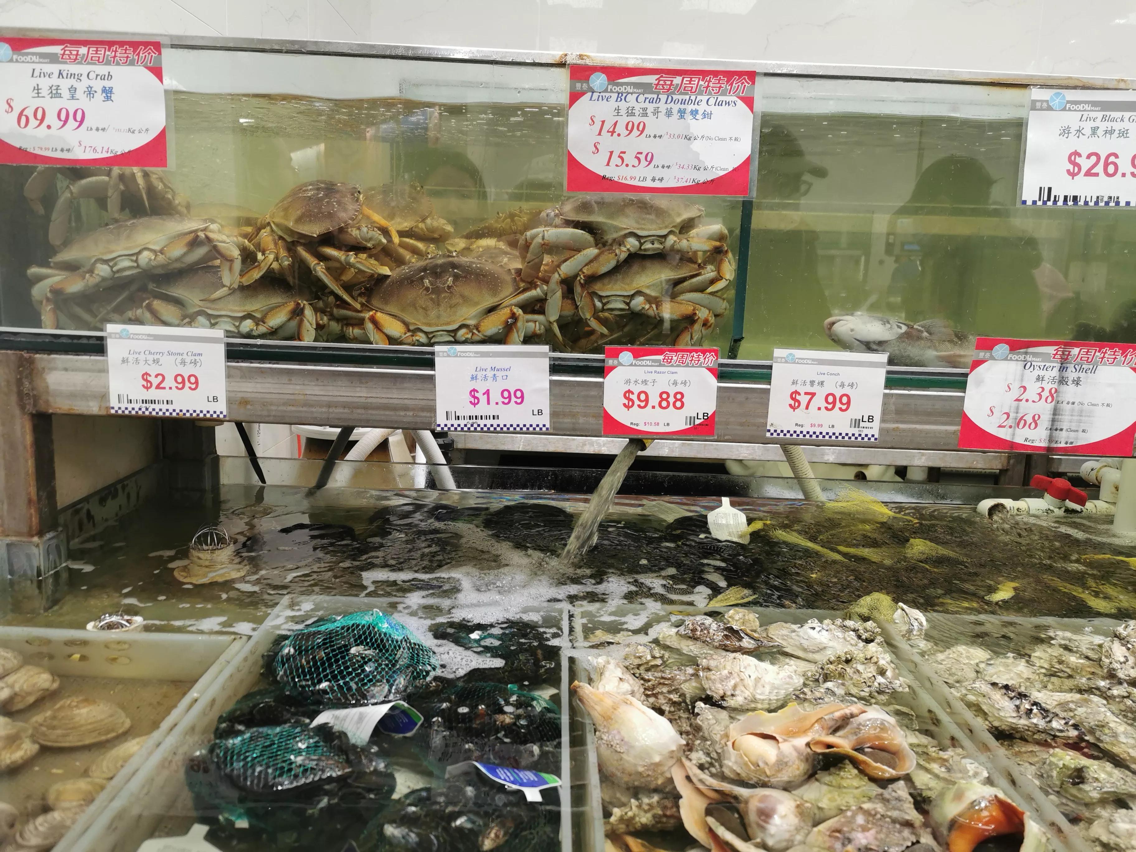 打卡多伦多集市,打卡多伦多海鲜自助