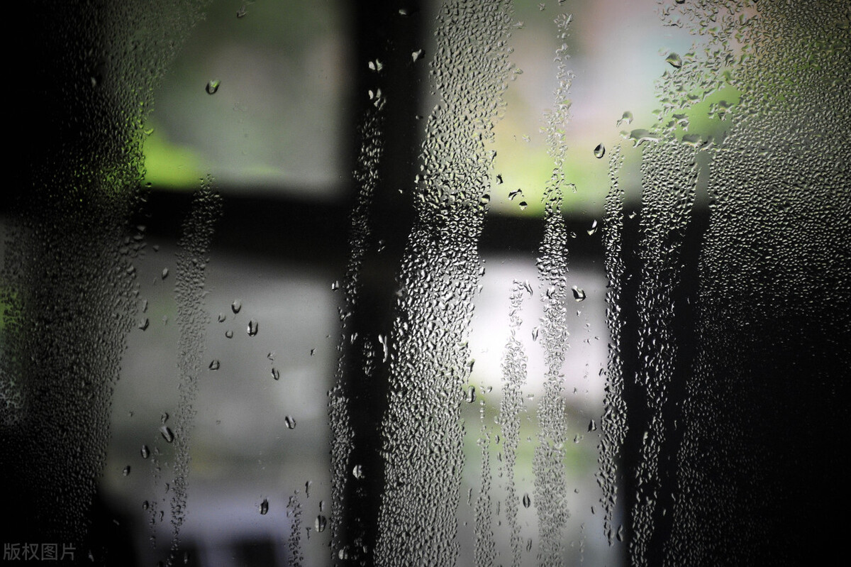 为什么回南天是湿漉漉的,回南天感觉在云里雾里