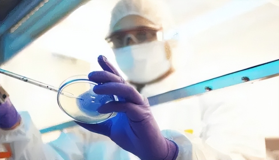 医学冷门专业,医学冷门专业有哪些