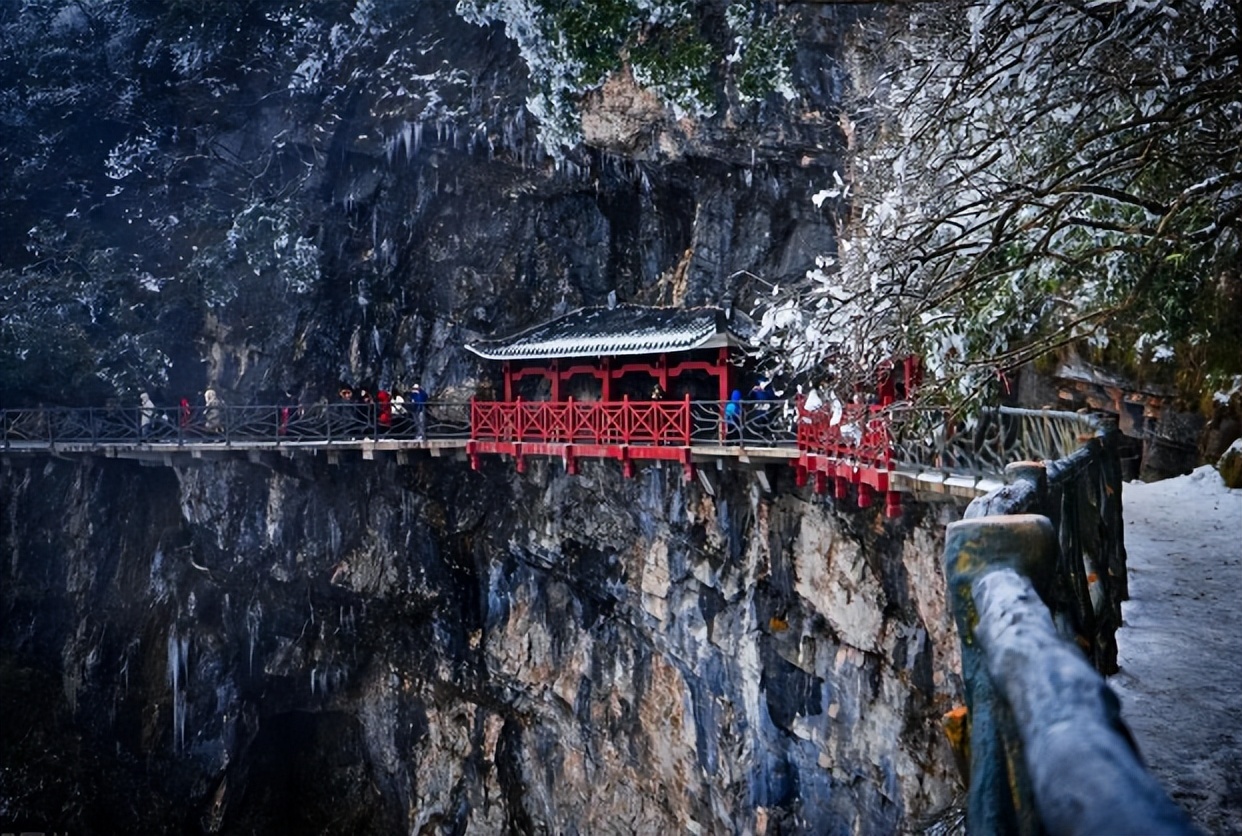 “约死群”有多可怕？群里待久后，不想死也会被人怂恿去死!