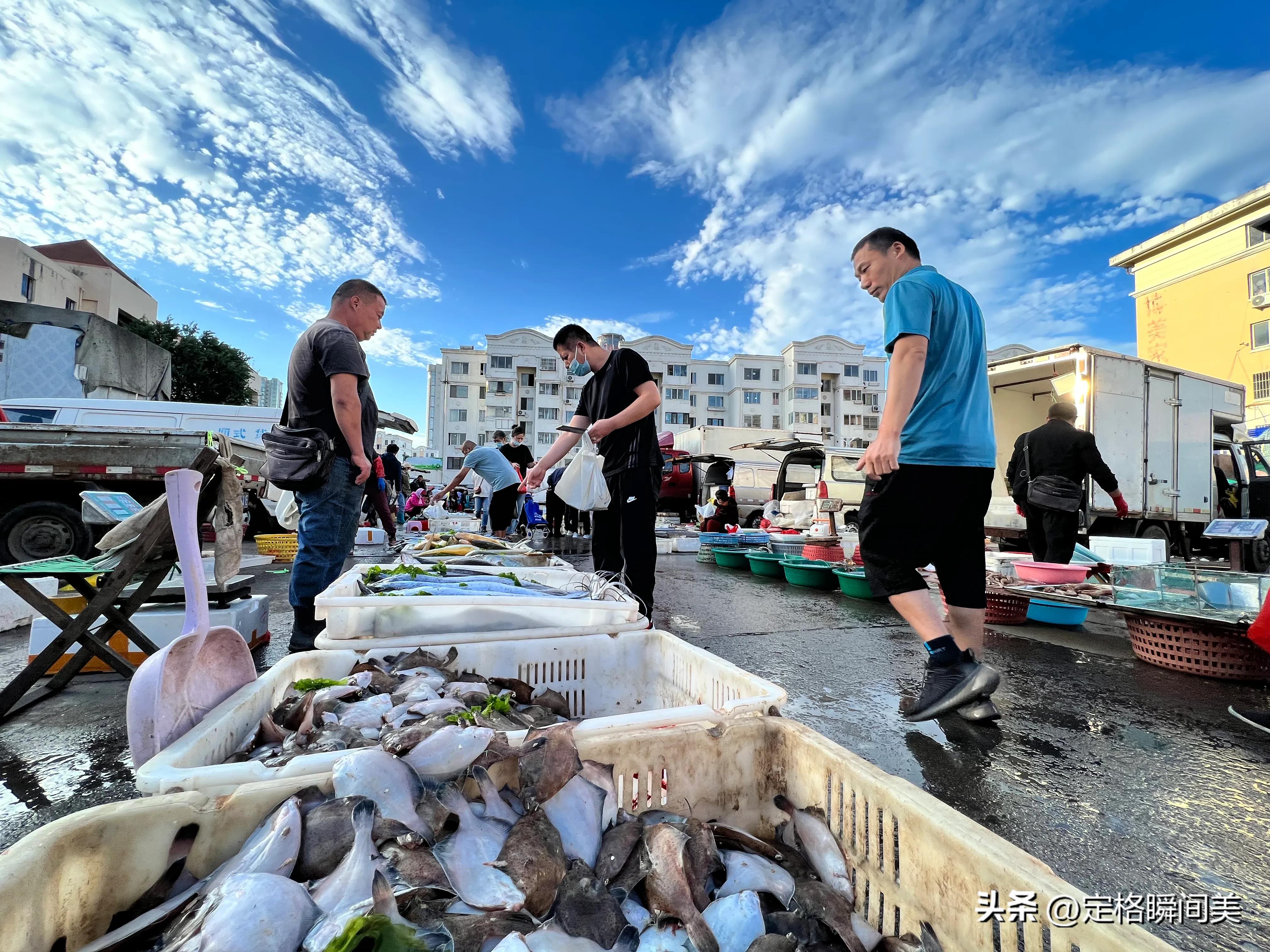 梭子蟹多少钱一斤黄岛,抢购梭子蟹30元一斤