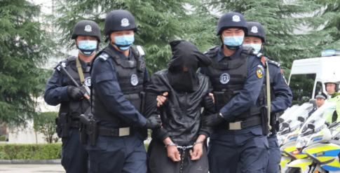 彭洪菊拐卖儿童事件 (人贩子彭洪菊案件)