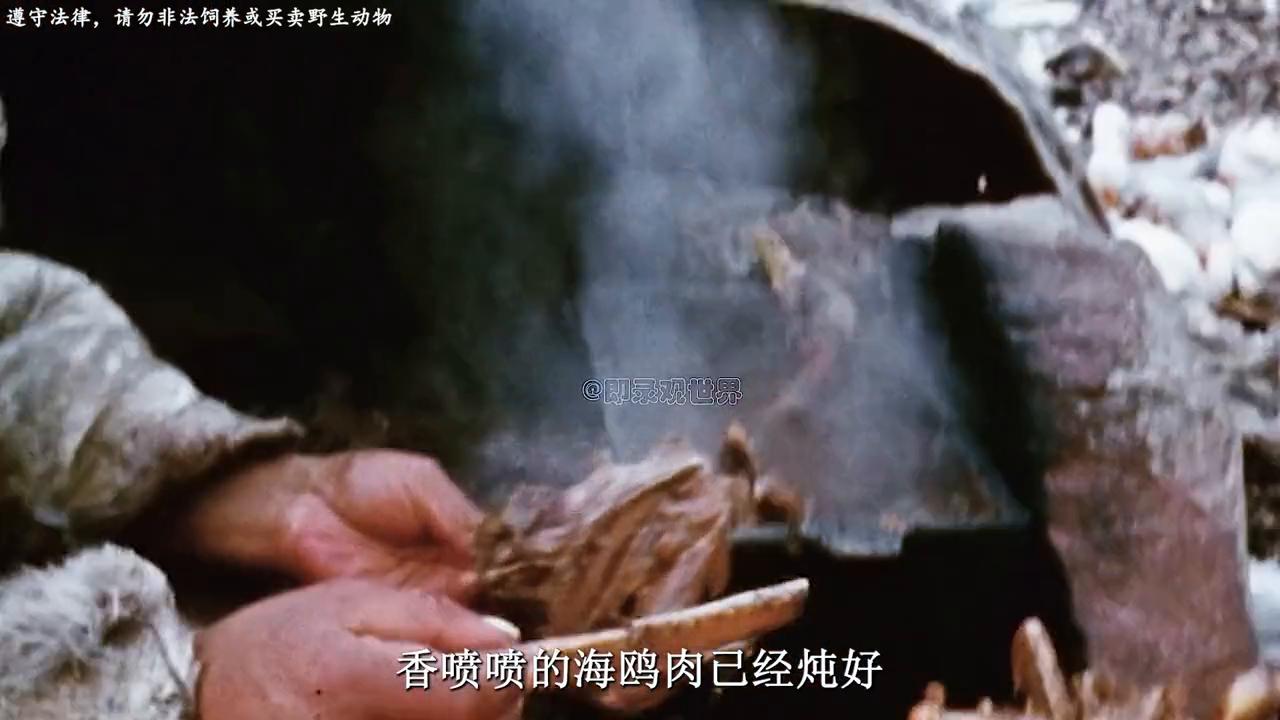 因纽特人老人怎么存活,因纽特人逝世后怎么处理