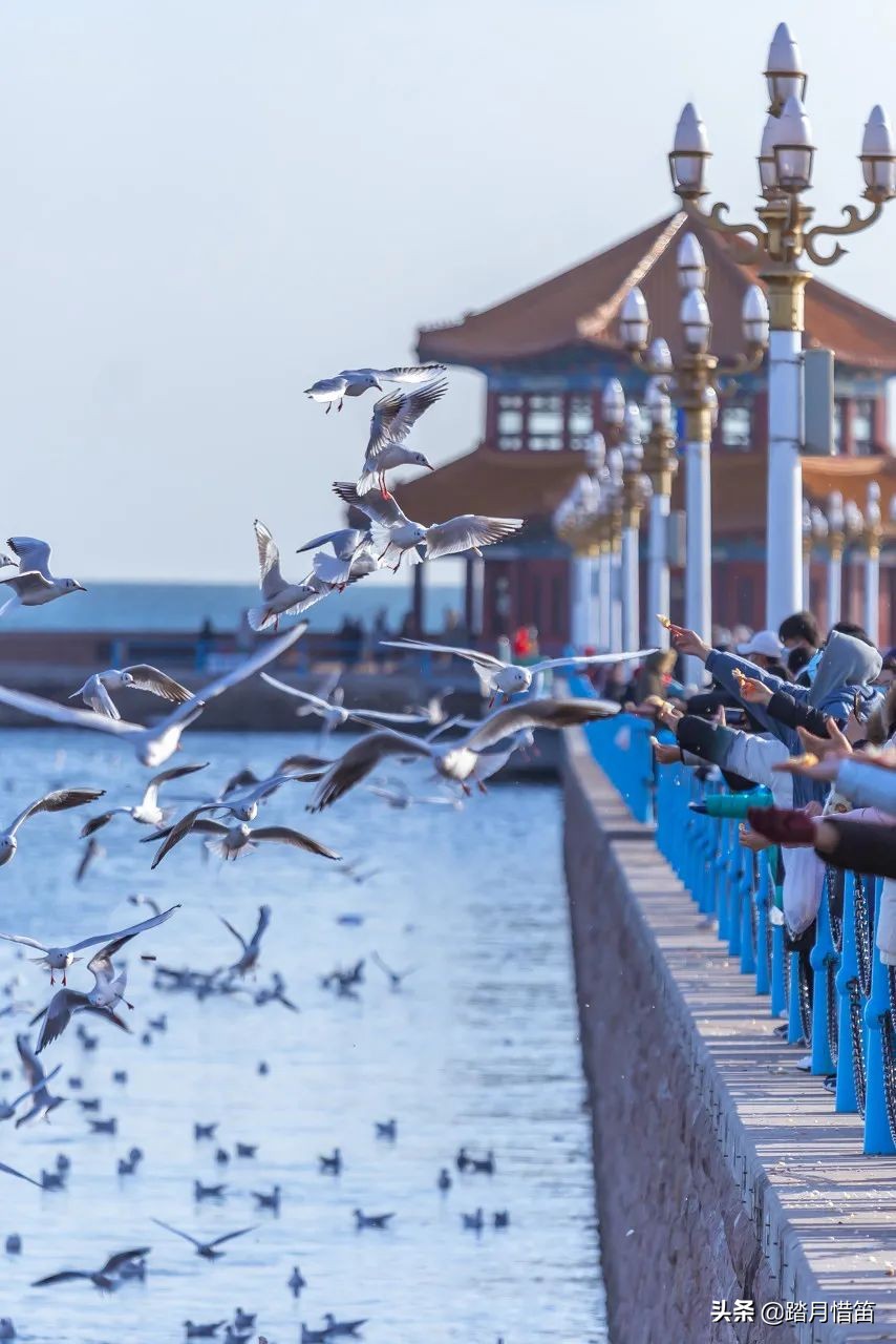 被誉为“东方瑞士”的青岛，有太多的海边浪漫