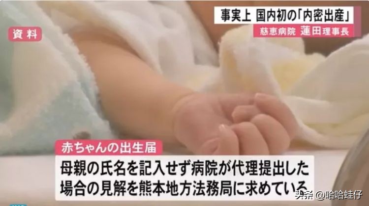 日本网红生女儿,在日本怀孕的中国网红