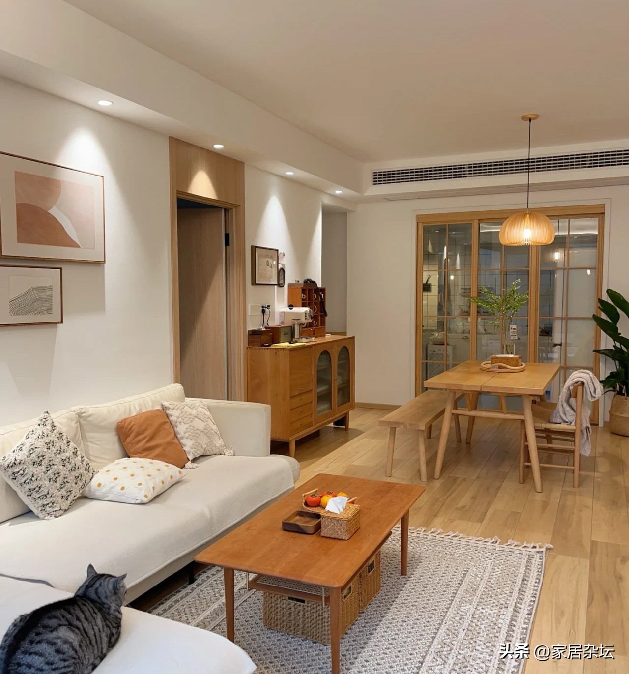 家具替代品的替代能力有哪些,这6款家居小物不建议买贵的