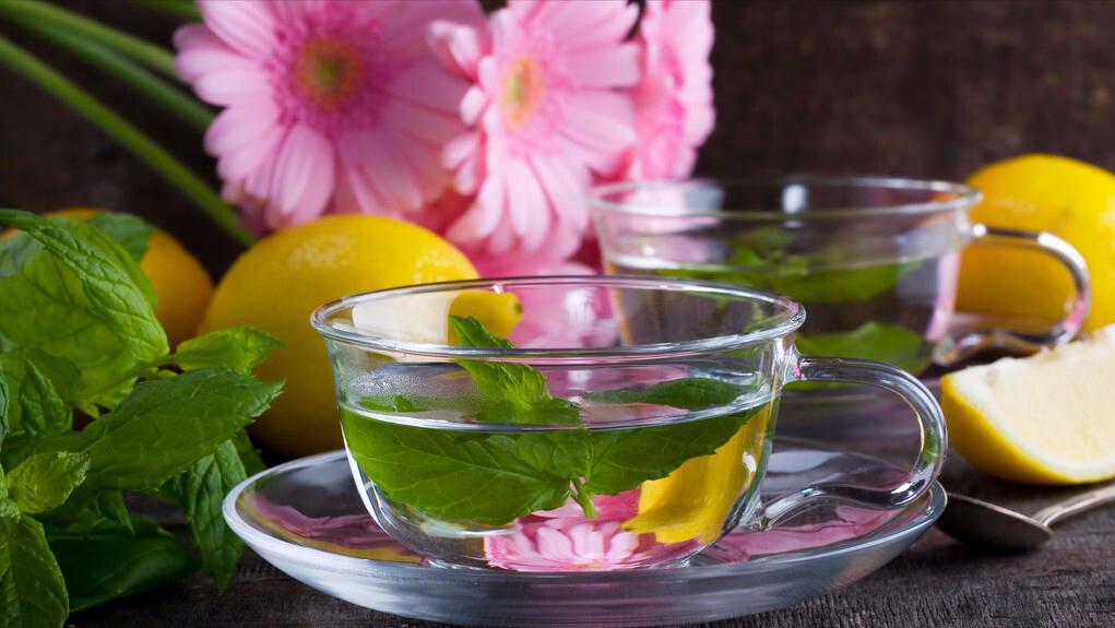 秋冬润燥茶,滋阴降火润燥茶