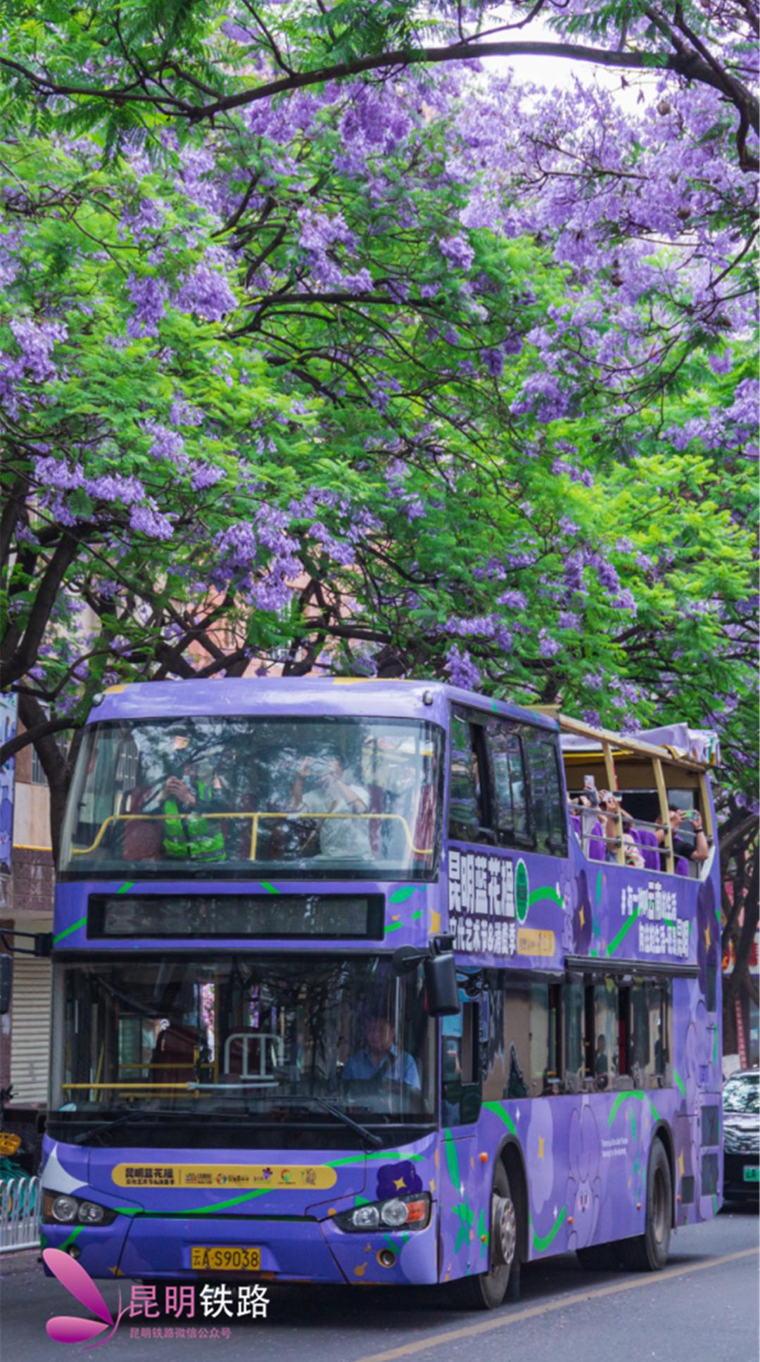 我要去红河,上车去