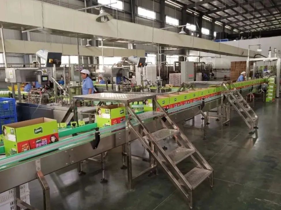 产品种类多的企业,新崛起的饮料品牌