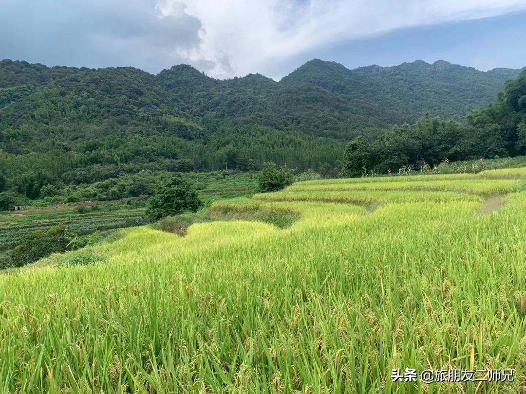 从化吕田一日游必去景点,从化溪头村自驾徒步攻略