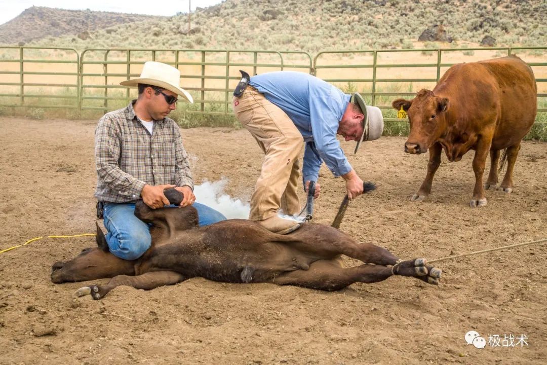 放牛的探员？《黄石》中的执法力量丨武装