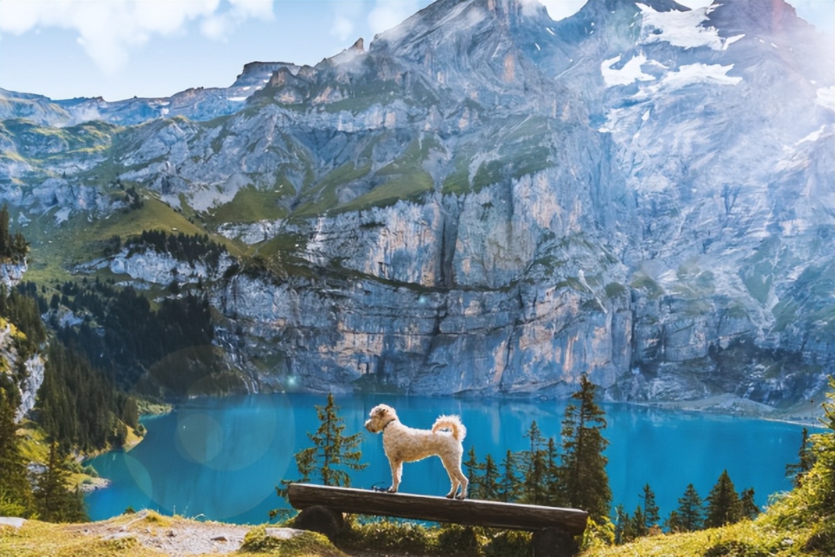 如何克服相互依赖，打破不健康关系的循环，一起看看吧