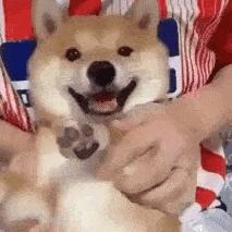 鏄ヨ妭鏈熼棿娑堣垂鎻愮ず,鏄ヨ妭娑堣垂鎻愮ず