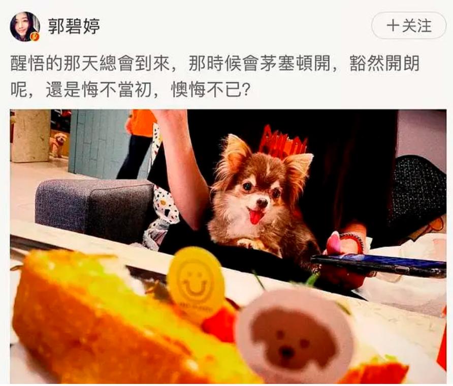 郭碧婷官宣三胎了吗,郭碧婷二胎官宣龙凤胎是真的吗