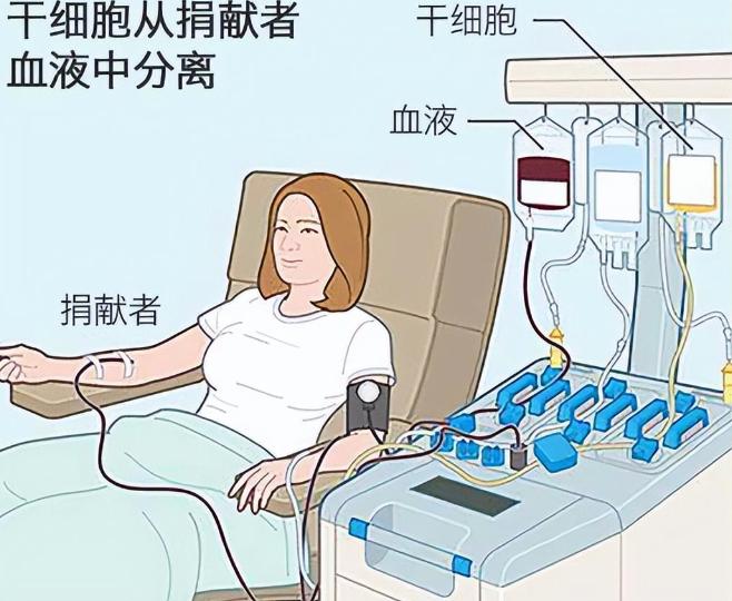 11年云南女大学生捐髓救人后续,17年浙江女孩无偿捐骨髓