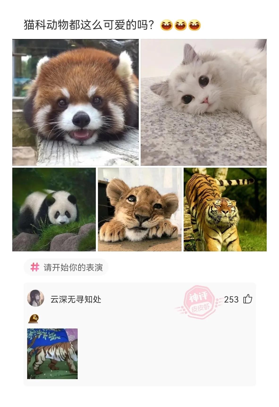 成吉思汗什么时候这么强了,成吉思汗为何可以打遍欧洲