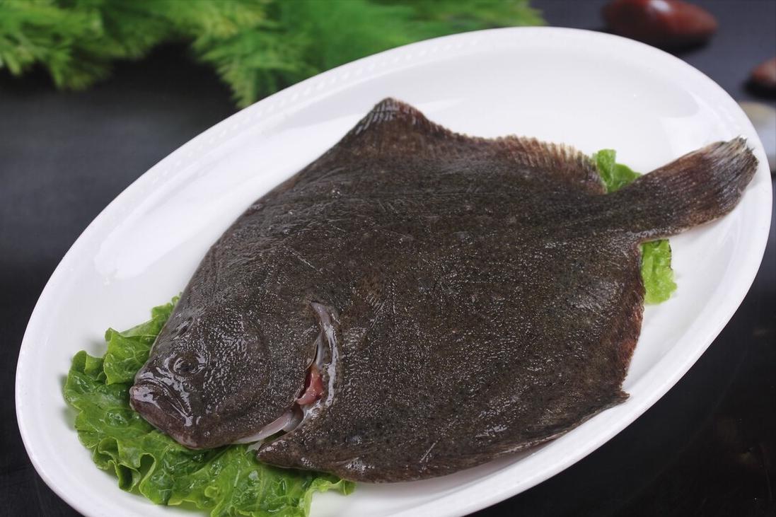 七种不一样的鱼图片,各种鱼的区别方法图解