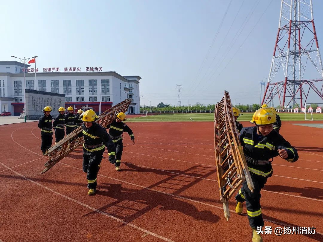 六一：“蓝焰幼崽”的六个变化