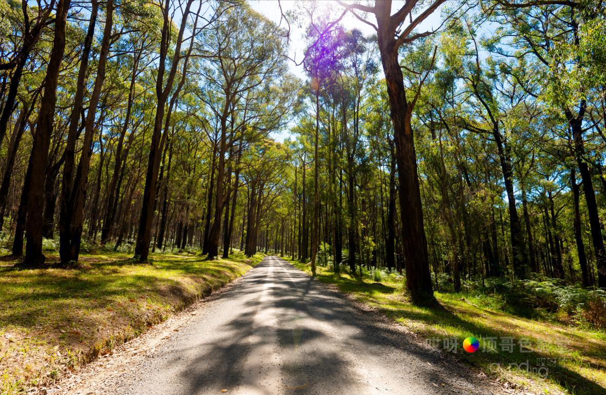 旅行家的眼神，看到不一样的人文澳洲（四之一）